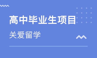 武漢西班牙留學中介 專業指南與自費出國服務全解析